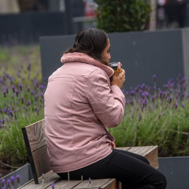 Frente Frío 2 Causa Temperaturas de Hasta 0 °C y Provoca Fuertes Lluvias en Estos Estados